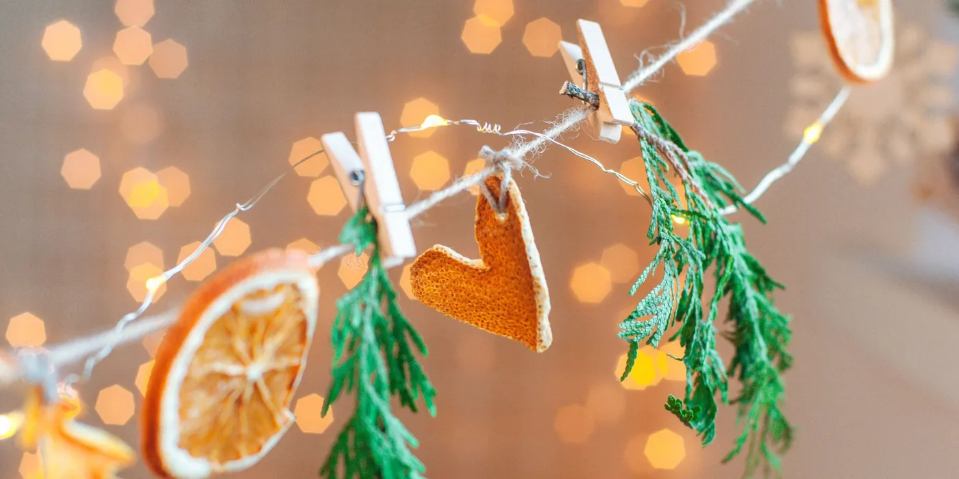 Citrus Garland - CERES Fair Food