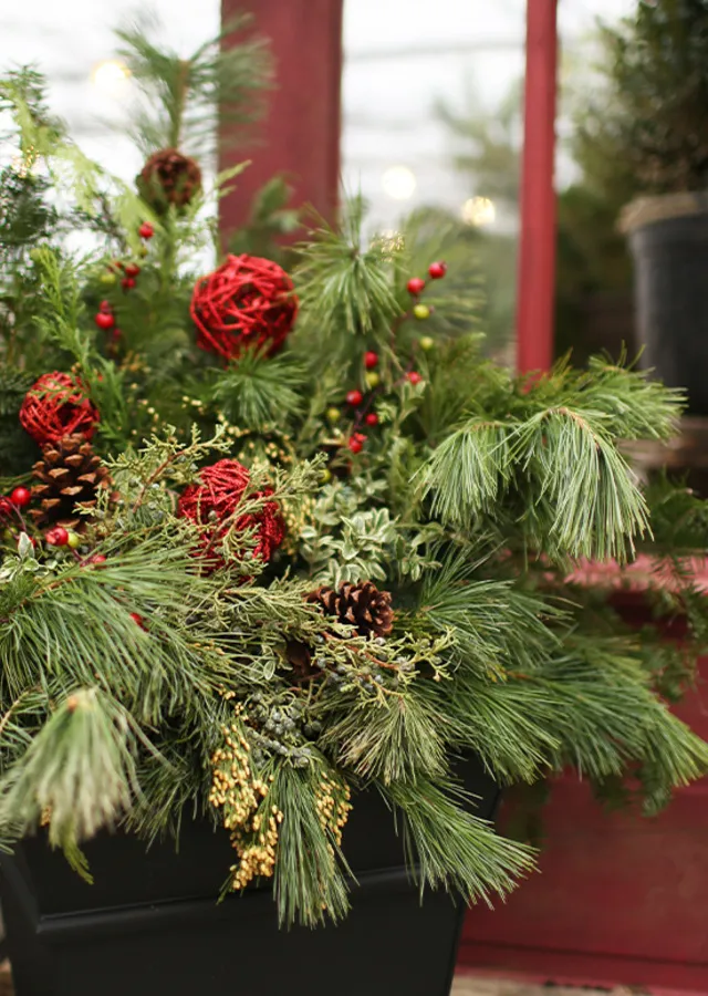 Classic Holiday Porch Pot
