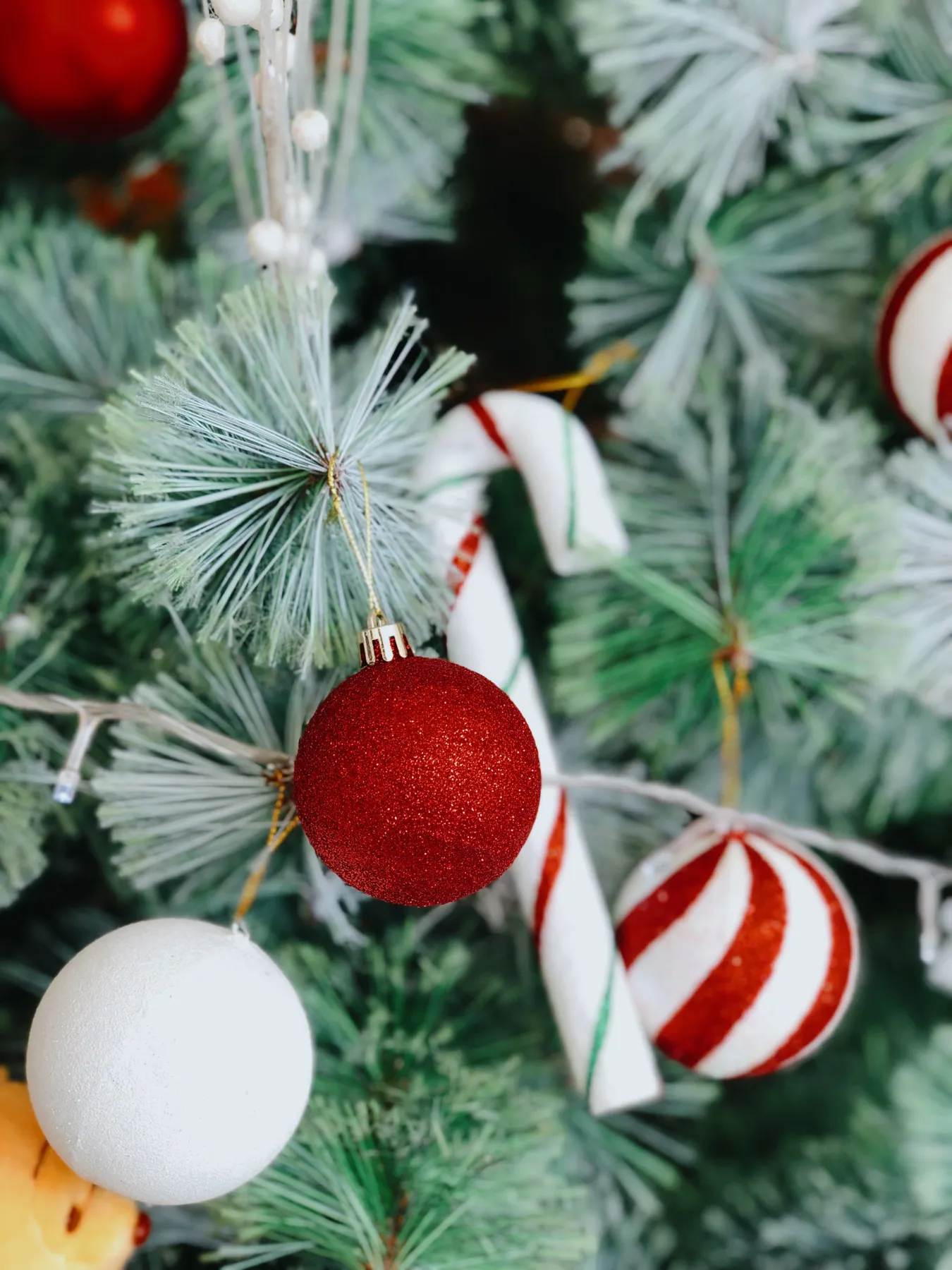 Close-up of a decorated Christmas tree featuring red and white baubles and candy canes.