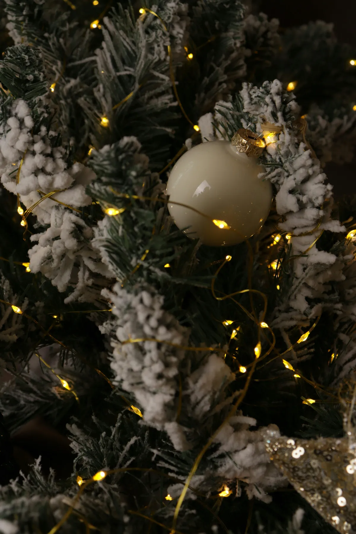 Close-up of a decorated christmas tree with lights - Free Photo on Unsplash