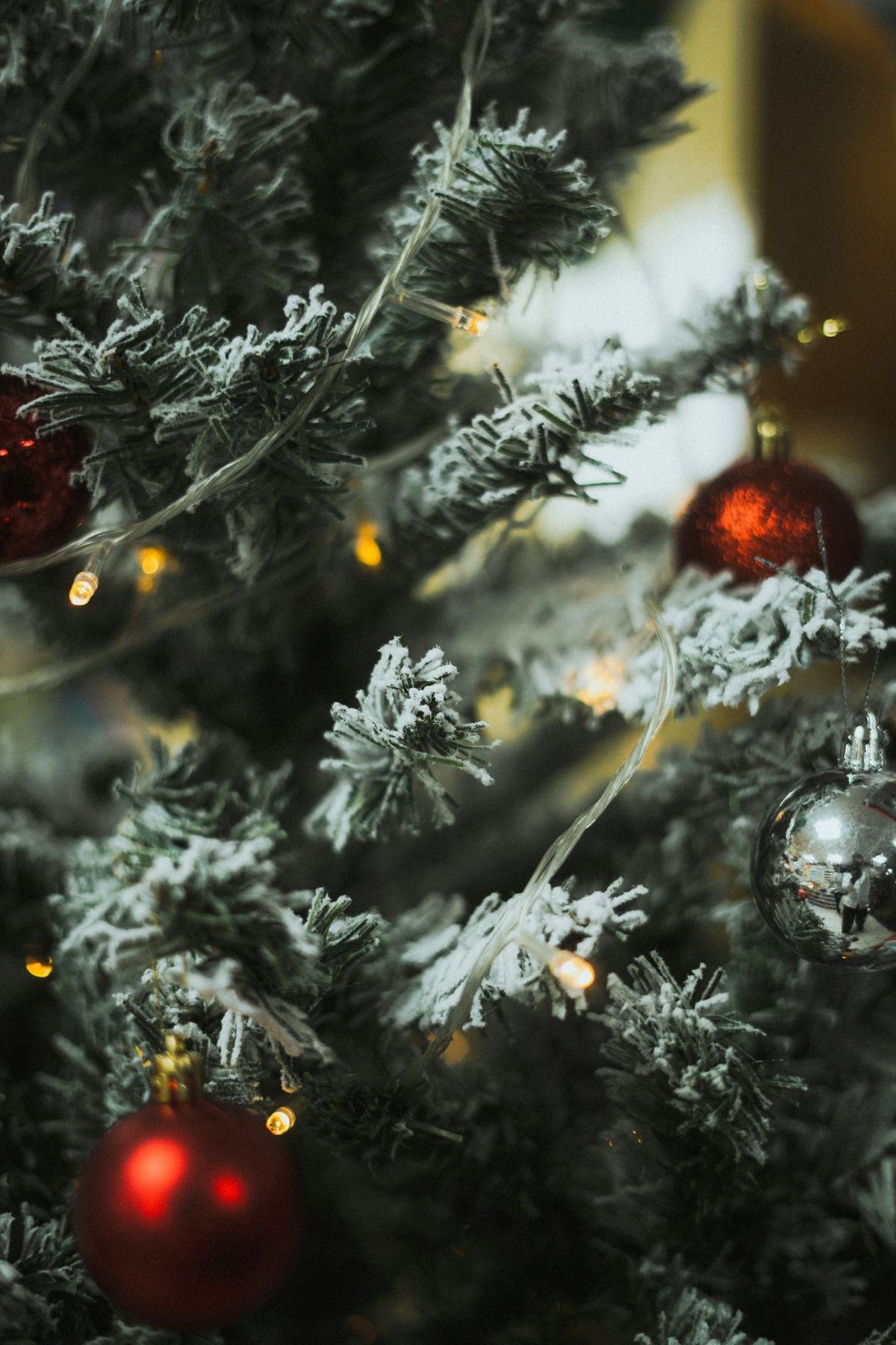 Close-up of a frosted christmas tree with ornaments - Free Photo on Unsplash