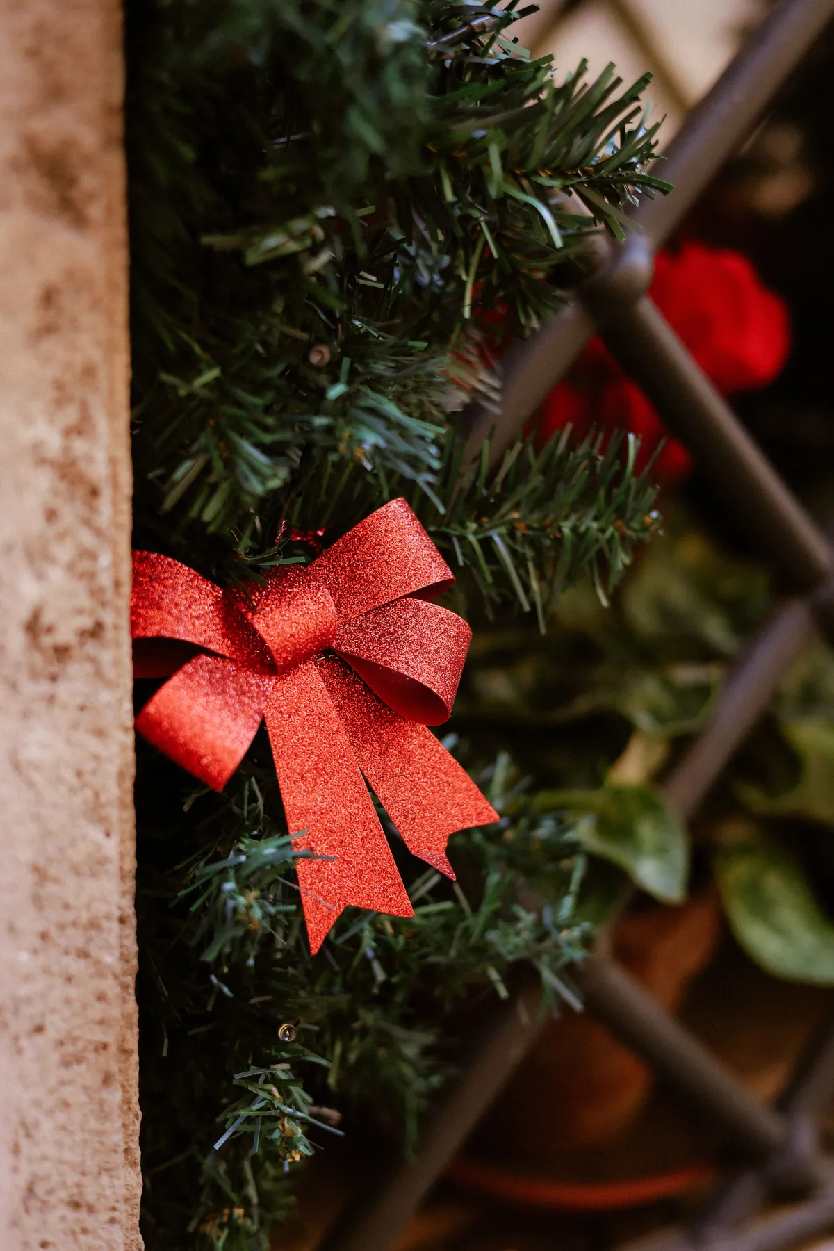 Close-up of a red bow on evergreen branches, perfect for holiday decor.