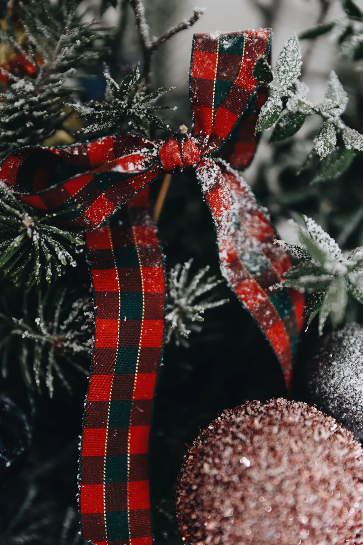 Close-up of a snow-covered Christmas ribbon on a decorated tree branch.