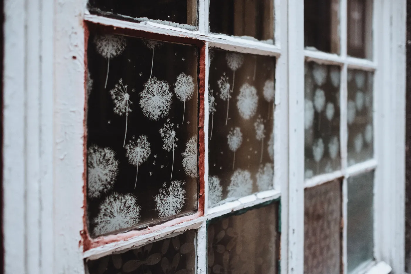 Close-up of an old rustic window featuring dandelion patterns on glass panes.