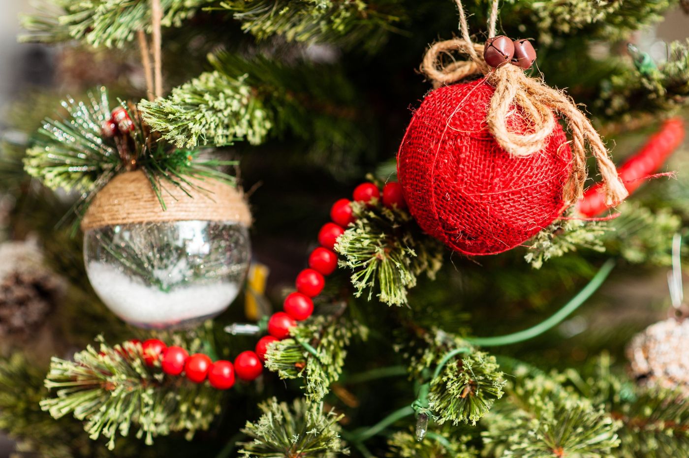 Close-Up of Ornaments Hanging on a Christmas Tree · Free Stock Photo