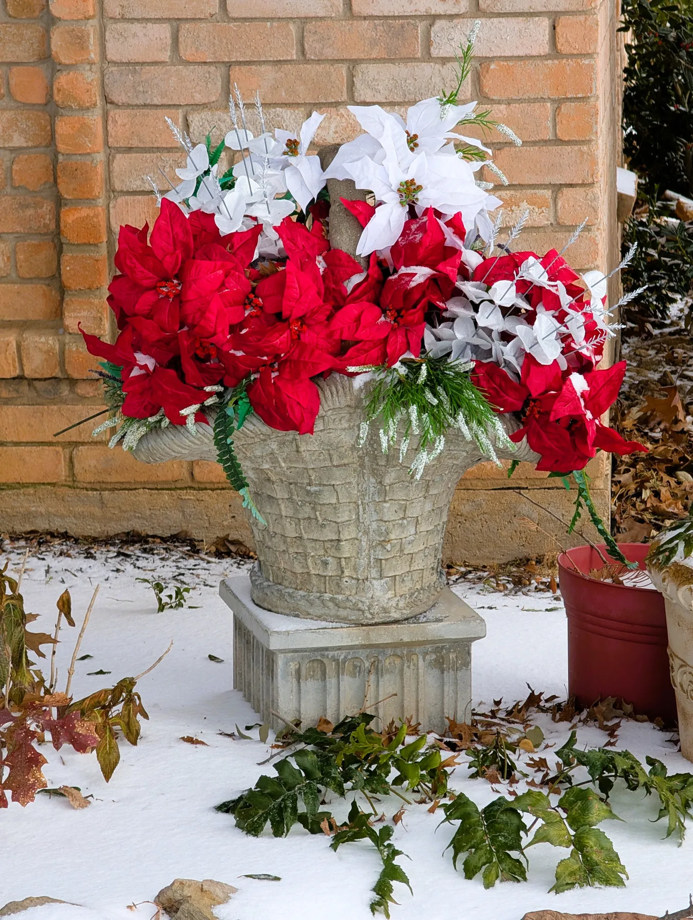 Colorful poinsettias in a stone planter with snowy backdrop.