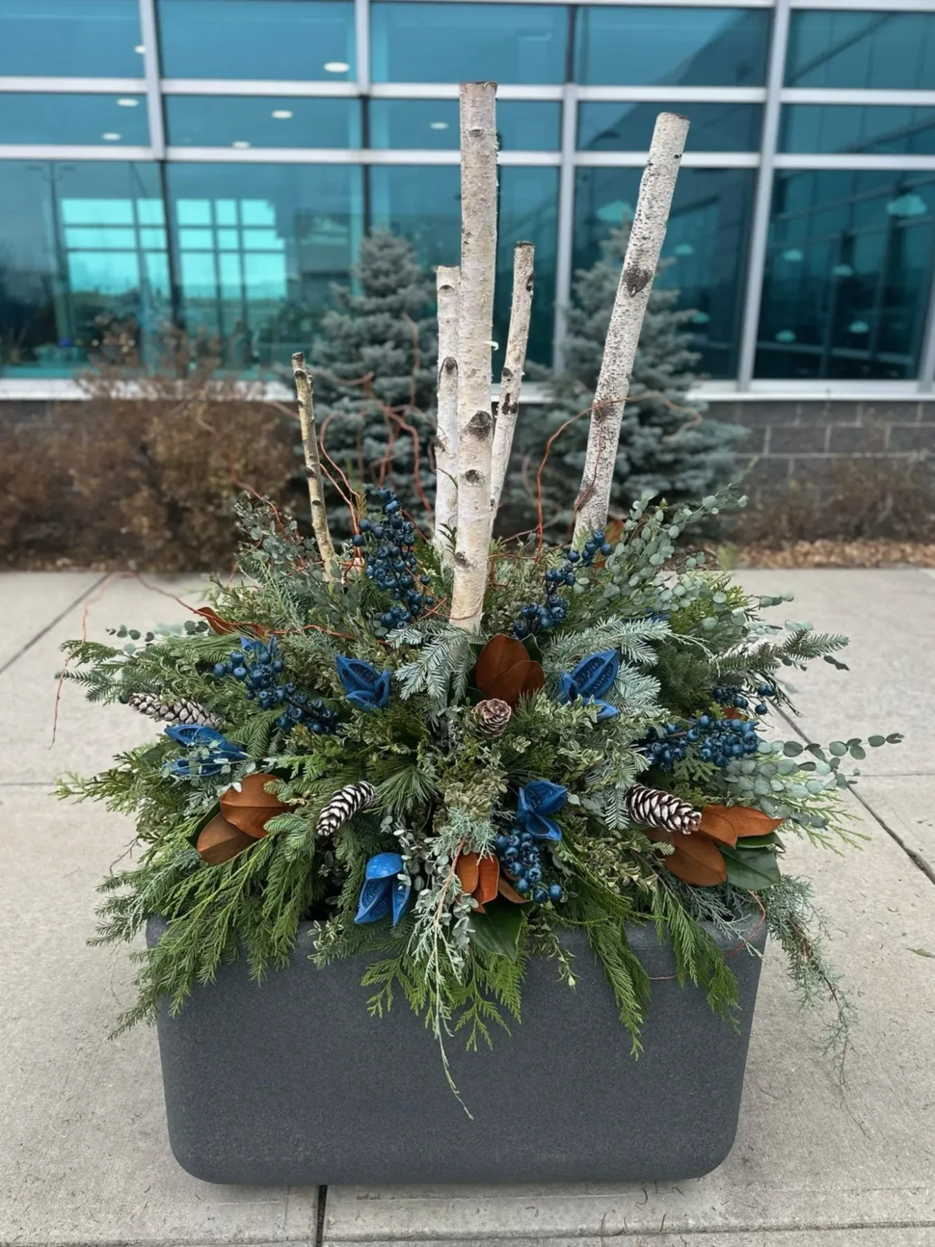 Commercial Planting & Containers Calgary — Bloom Culture