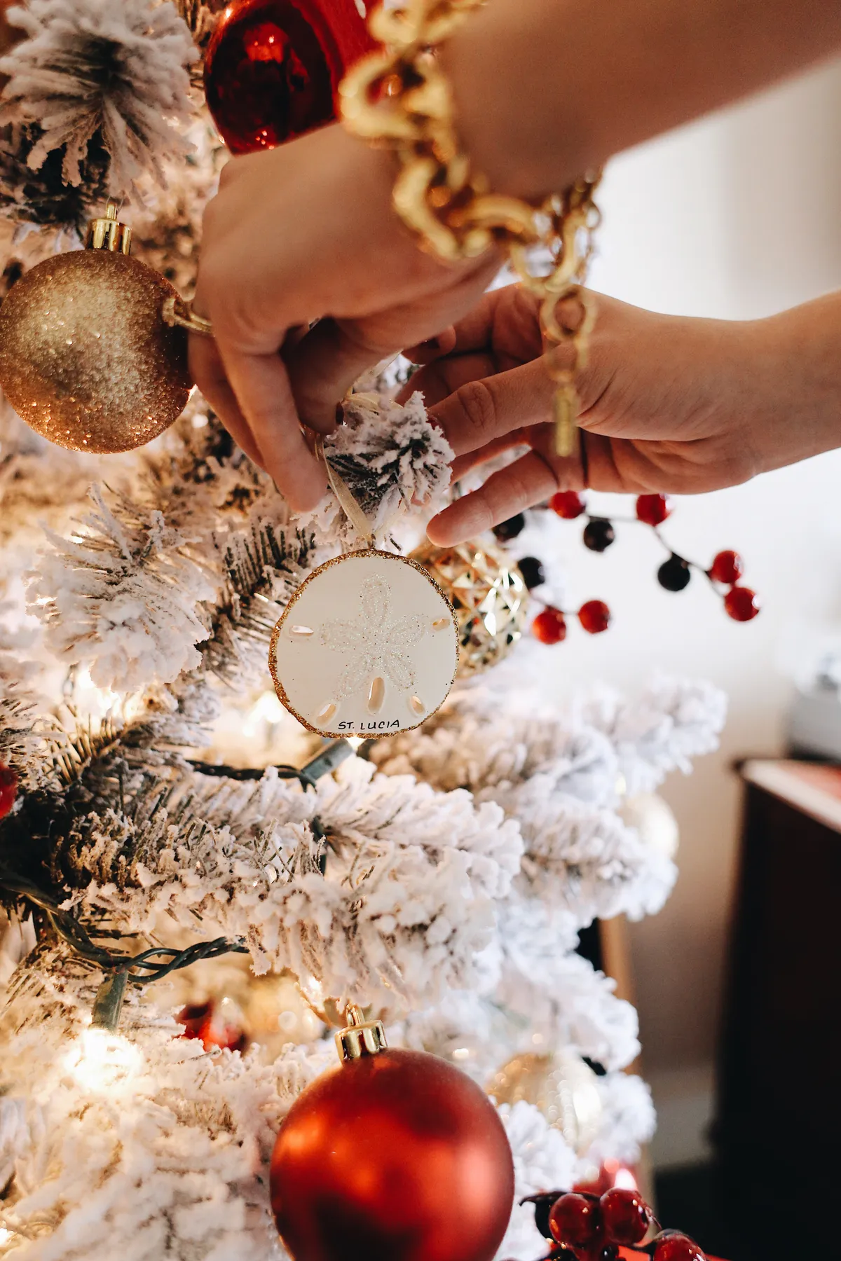 Compromising on Home Decor for our First Christmas - Thrifty Pineapple