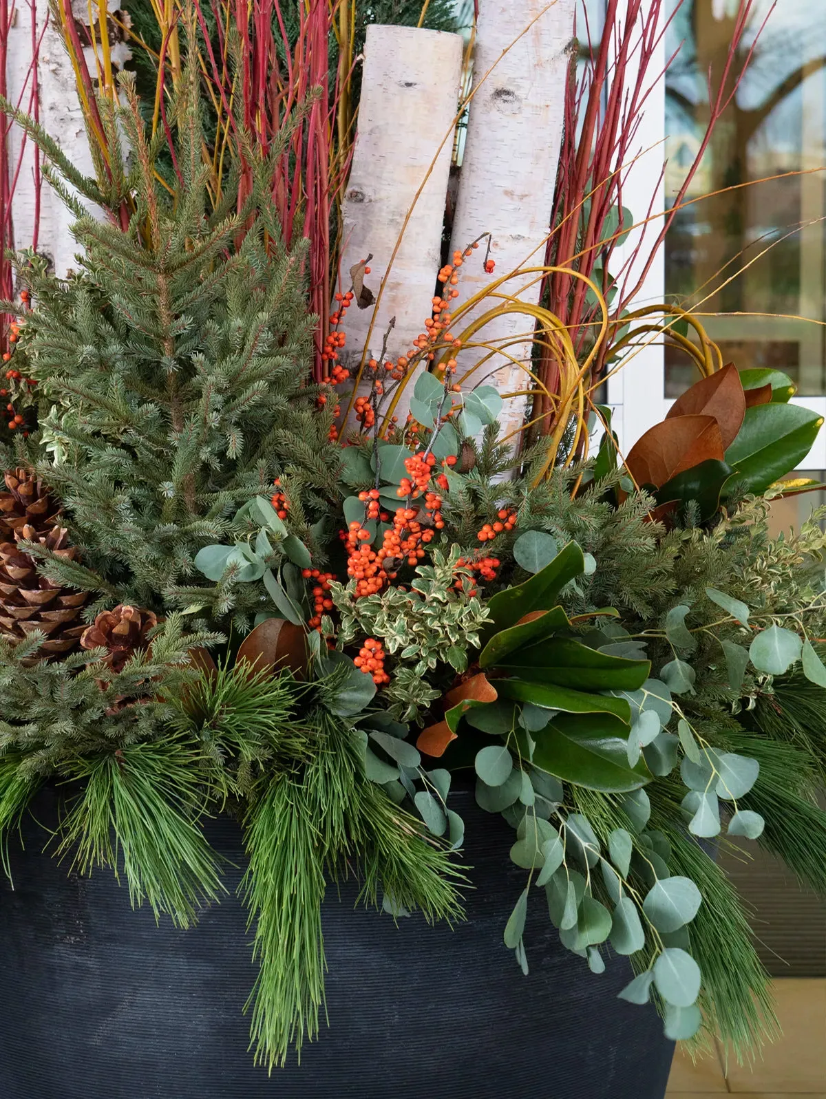 Container Design – Tangletown Gardens