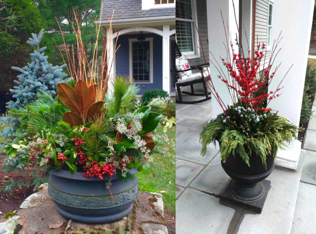 Container Garden Design & Installation – Terrascapes
