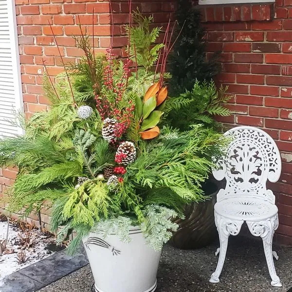 Containers/Annual Design