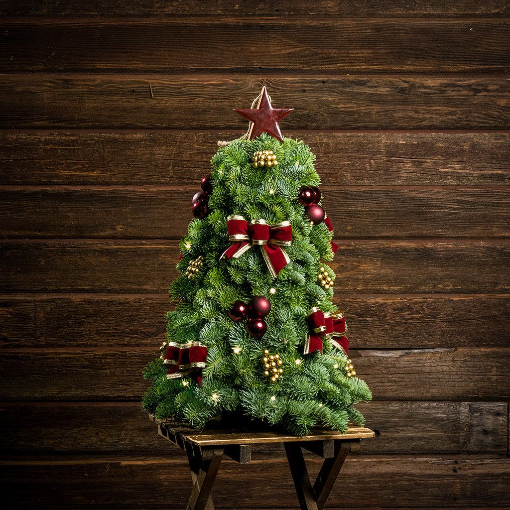 Create a Charming Holiday Display with a Petite Christmas Tree – Lynch Creek Farm