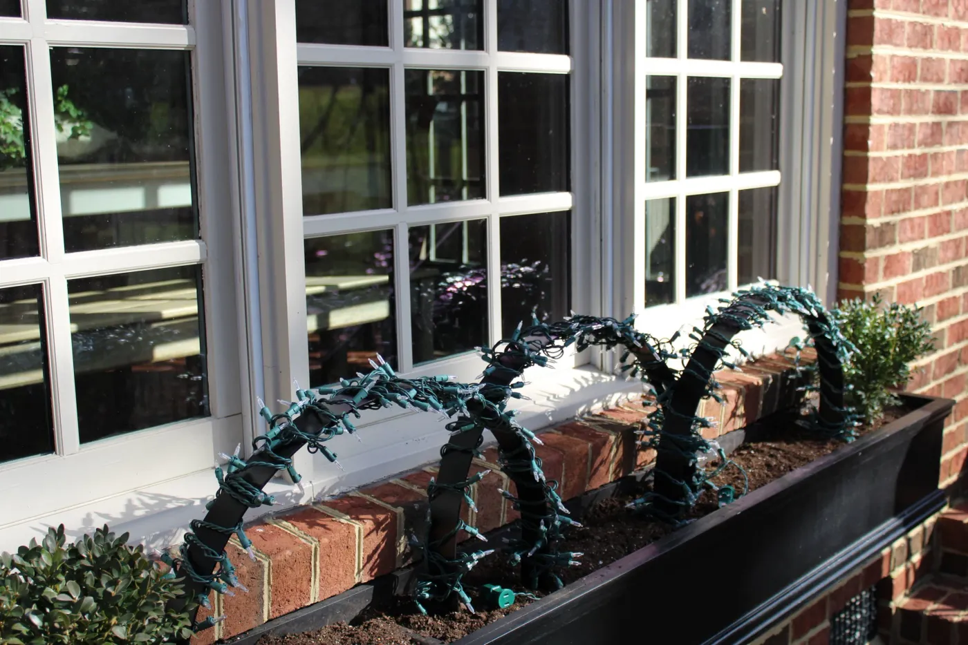 Create Wintry Window Box: Ornamental Arches — Contained Creations