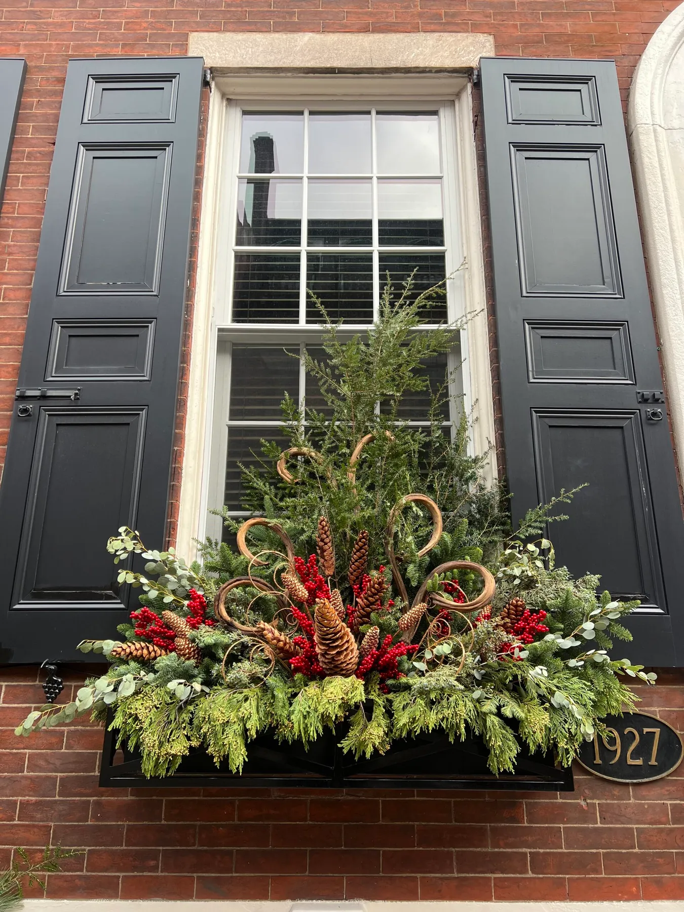 Creating a Colorful Winter Garden | Solo Real Estate | Philadelphia Real Estate Brokerage