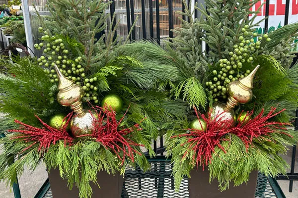 Custom Container Garden Design & Potting Services