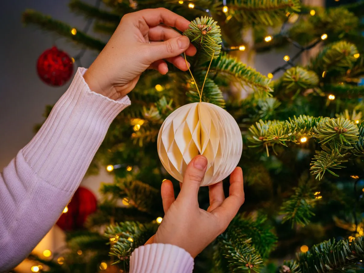 Date your Christmas tree should go up as it is earlier in 2026 - Daily  Record