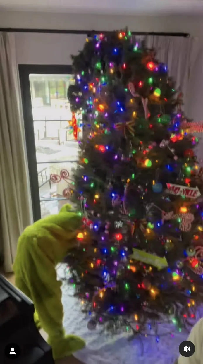 Dax Shepard Posts Kristen Bell's Grinch-Themed Tree