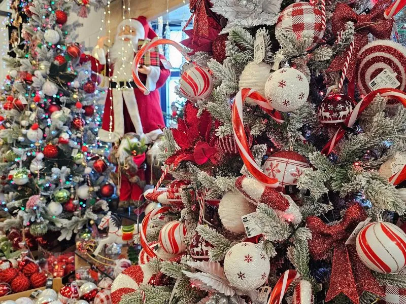 Deck the Halls with ACW Garden Centre: Your One-Stop Shop for Christmas  Decorations in Bradford! - ACW Garden Centre