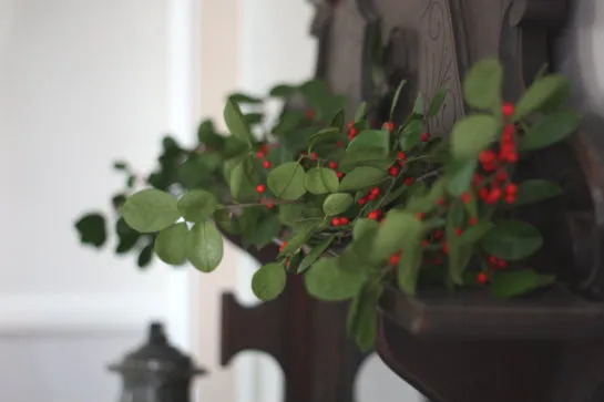 Decorating with Holly for Christmas Dinner | 17 Apart
