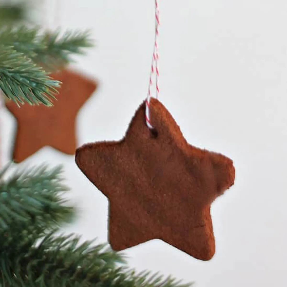 DIY Christmas Ornaments - South Georgia Style