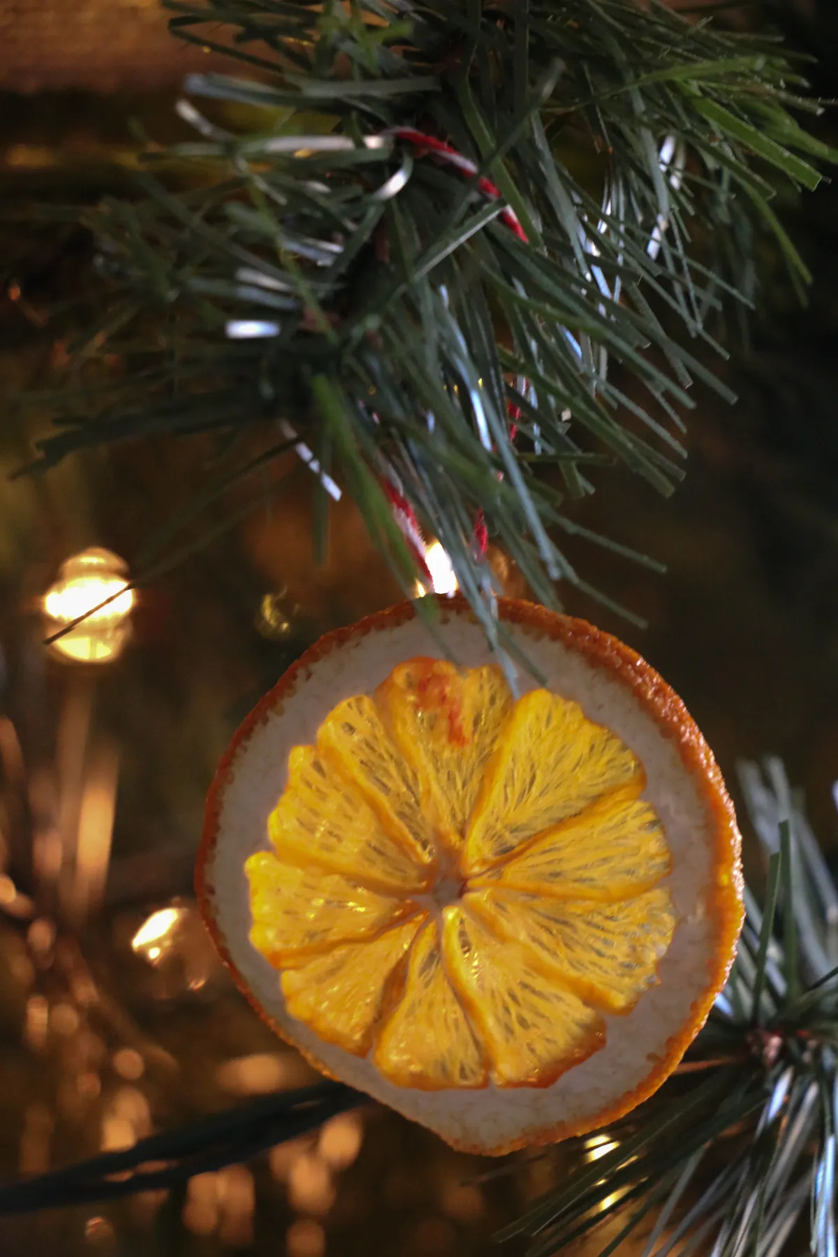 DIY Citrus Slice Ornament – Rumfield Homestead