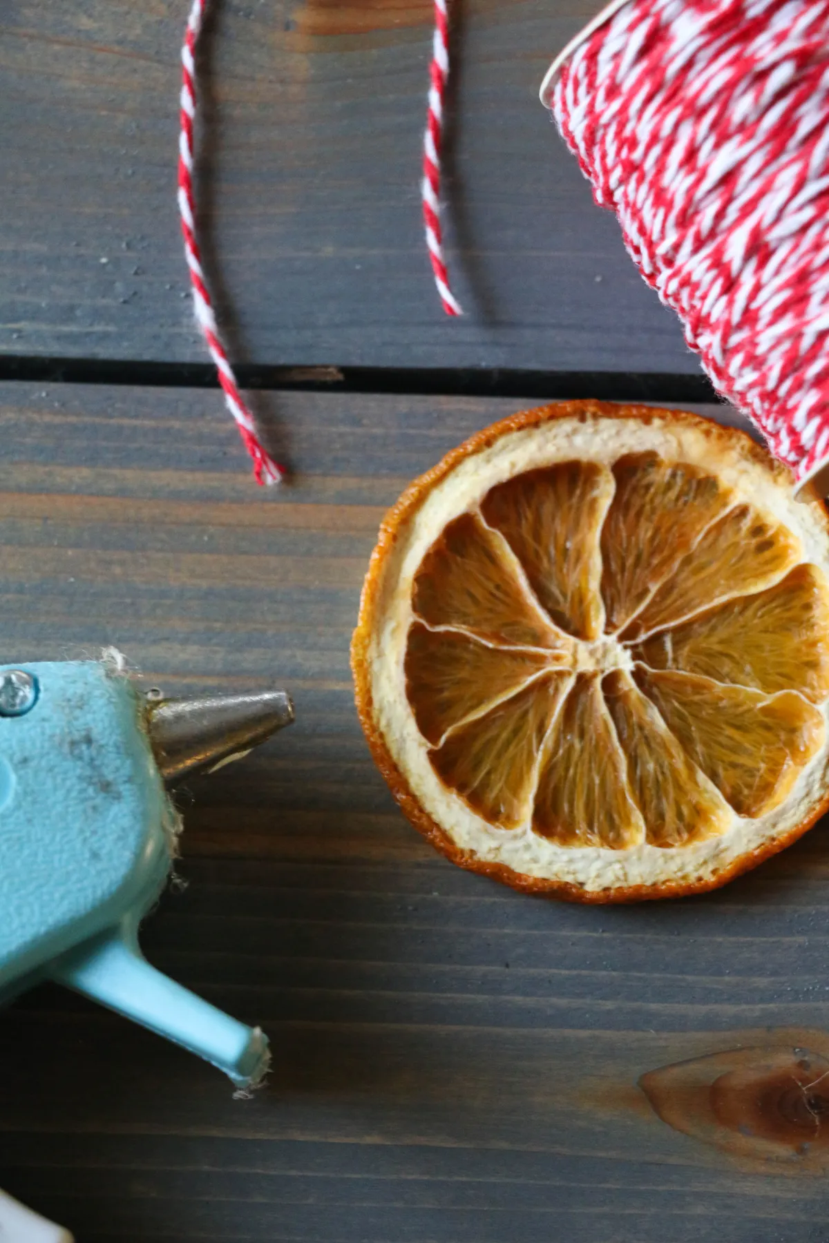 DIY Citrus Slice Ornament – Rumfield Homestead