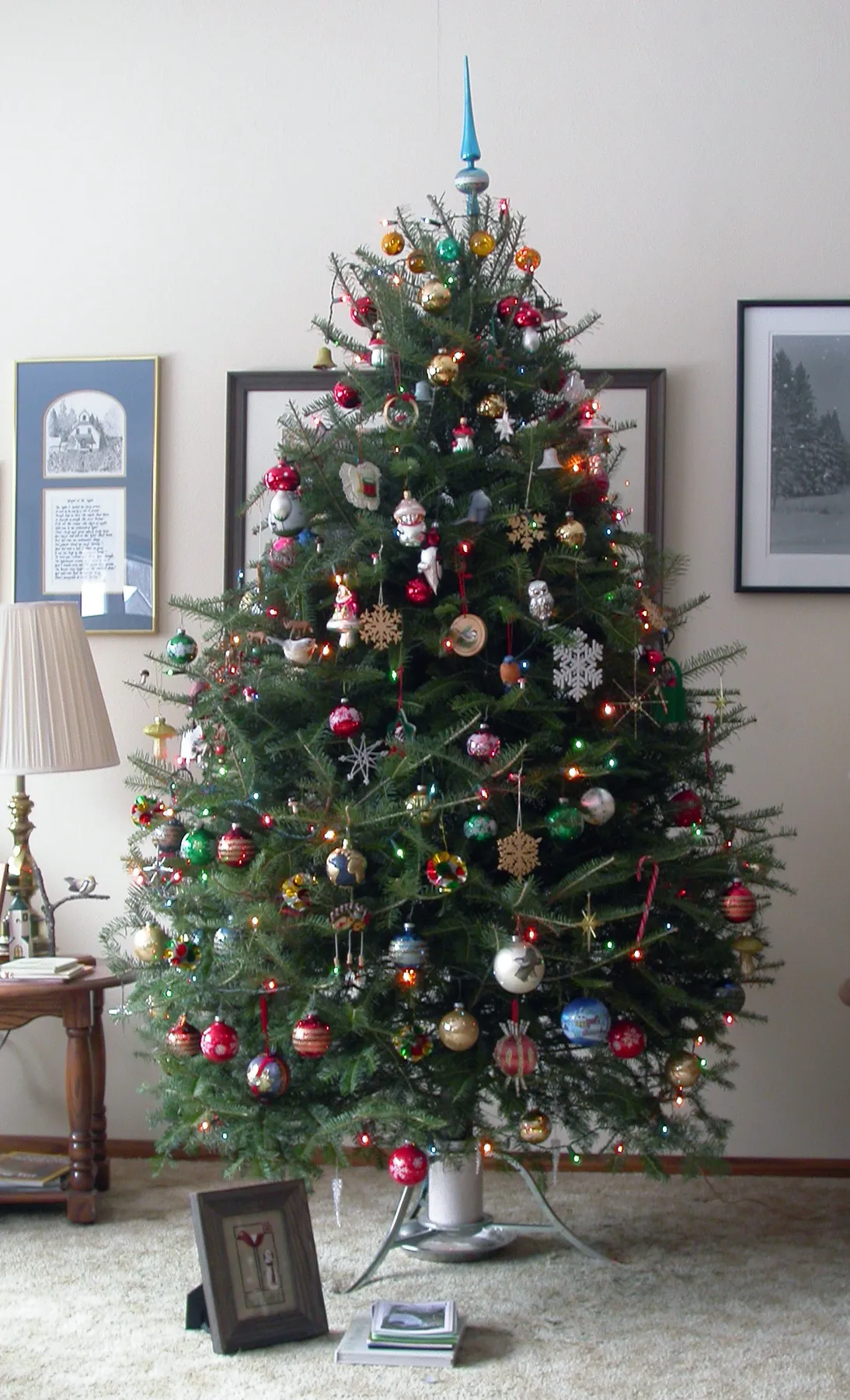 Door to Nature: Christmas Trees - Door County Pulse