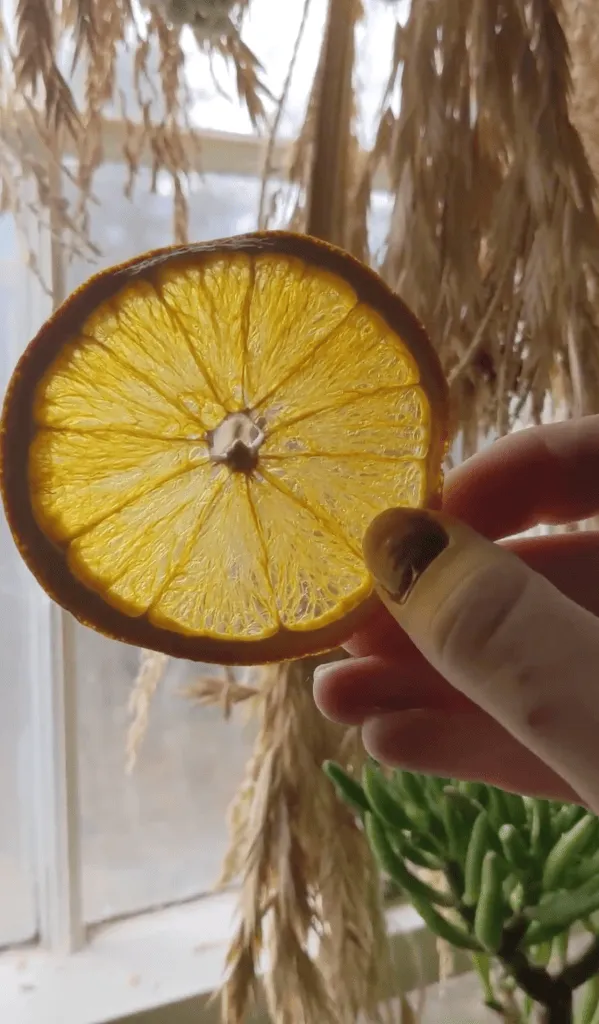 Dried Orange Slices: How To Make Them + Wreath Tutorial