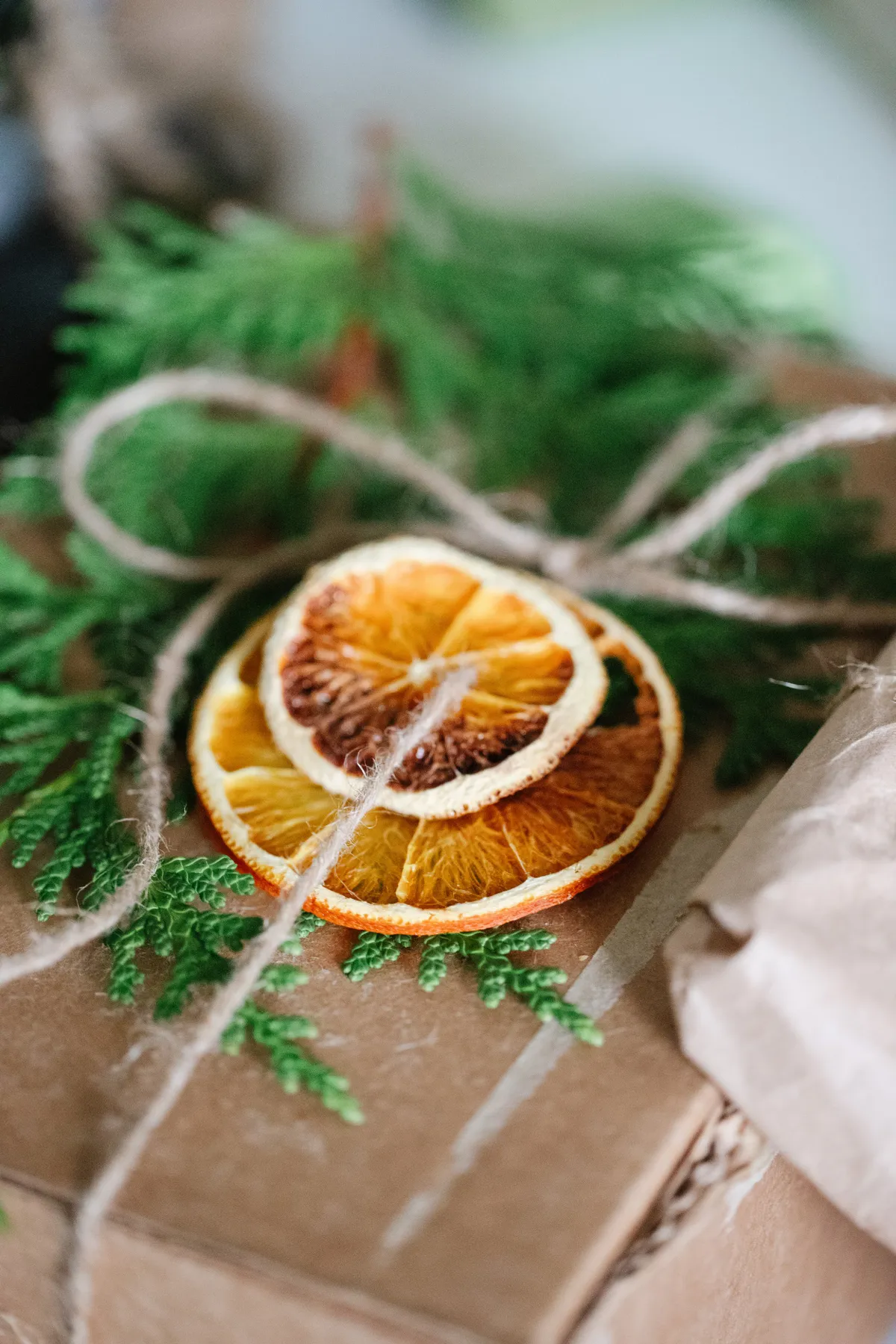 Easy DIY Dried Oranges for Natural Holiday Decor — The Purposeful You ·  Garden + Sustainable Living