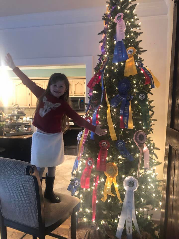 Equestrian Christmas Trees for Horse Lovers - The Plaid Horse Magazine