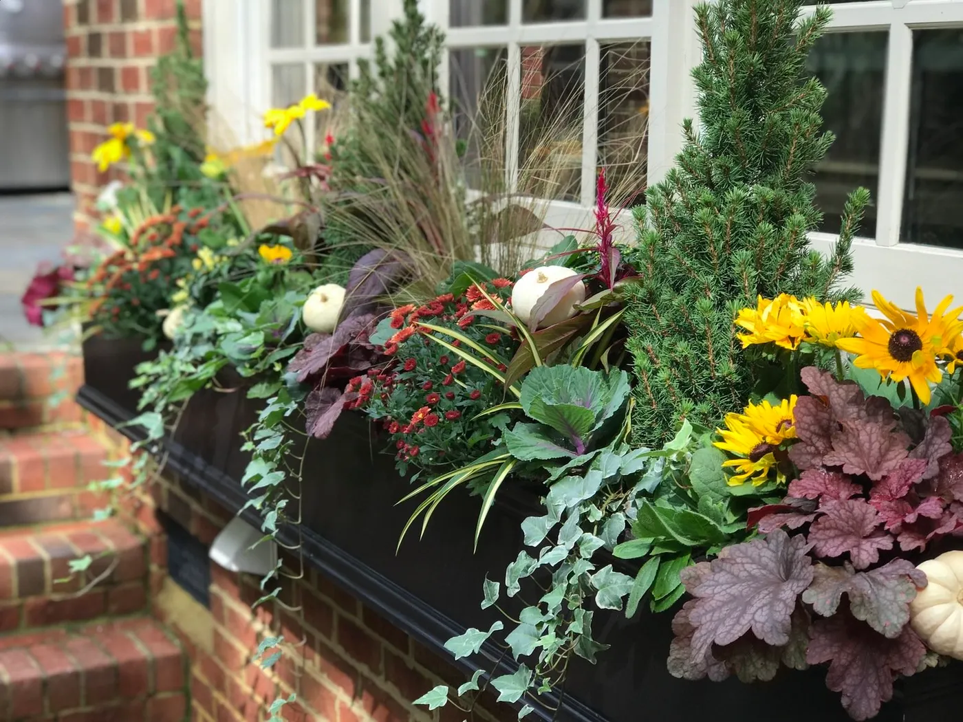 Fall Planters, Container Gardens & Window Boxes — Contained Creations