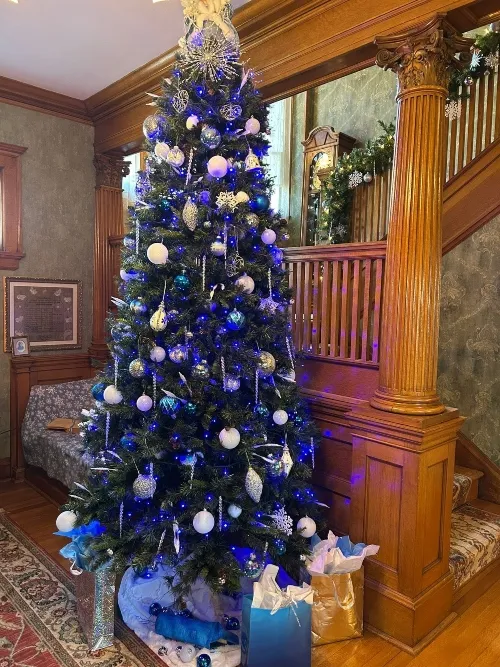 Fantasy of Trees Open House – November 22, 2026 | Burt County Museum