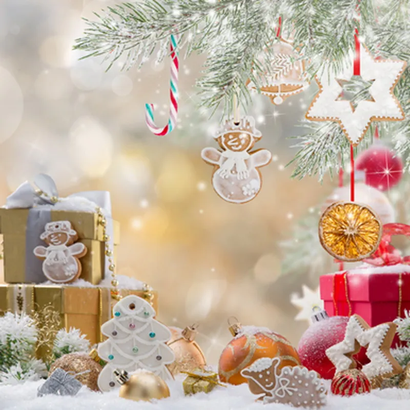 Fashion Vinyl Christmas Photography Backdrops Winter Attractive Gifts Background Happy Festival Wallpaper Sale