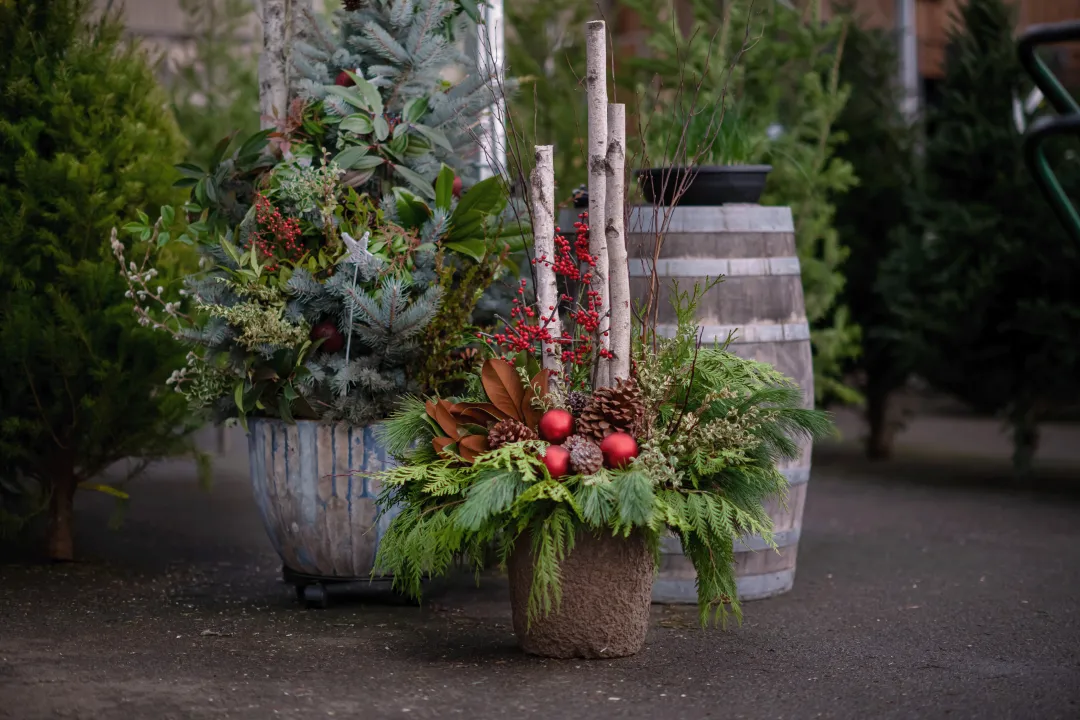 Festive Winter Planters