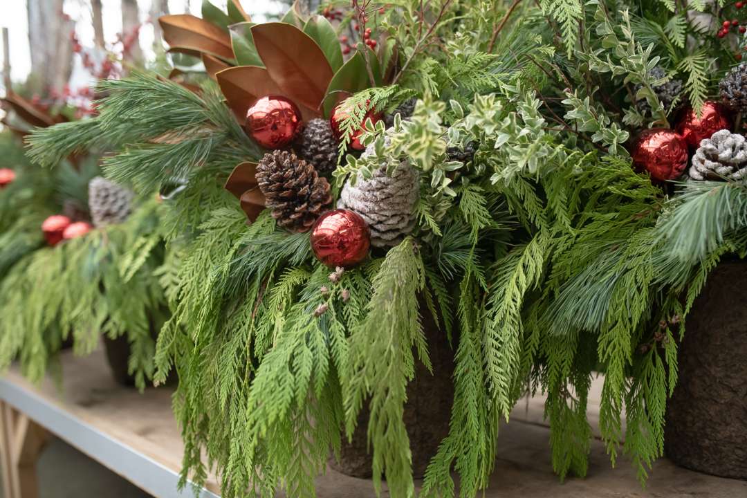 Festive Winter Planters