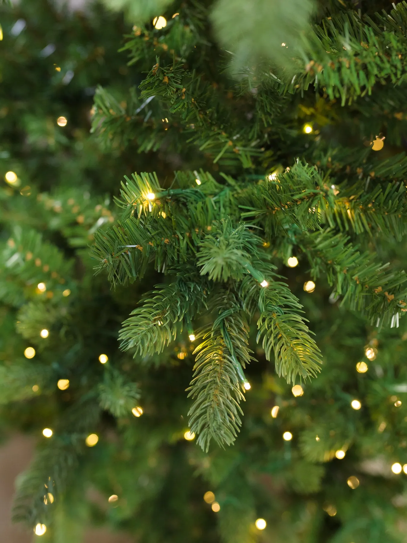 Grand Illumination Christmas Tree