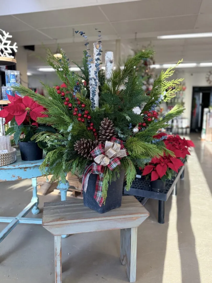 Grand Winter Patio Pot - Sandy's Back Porch Garden Center