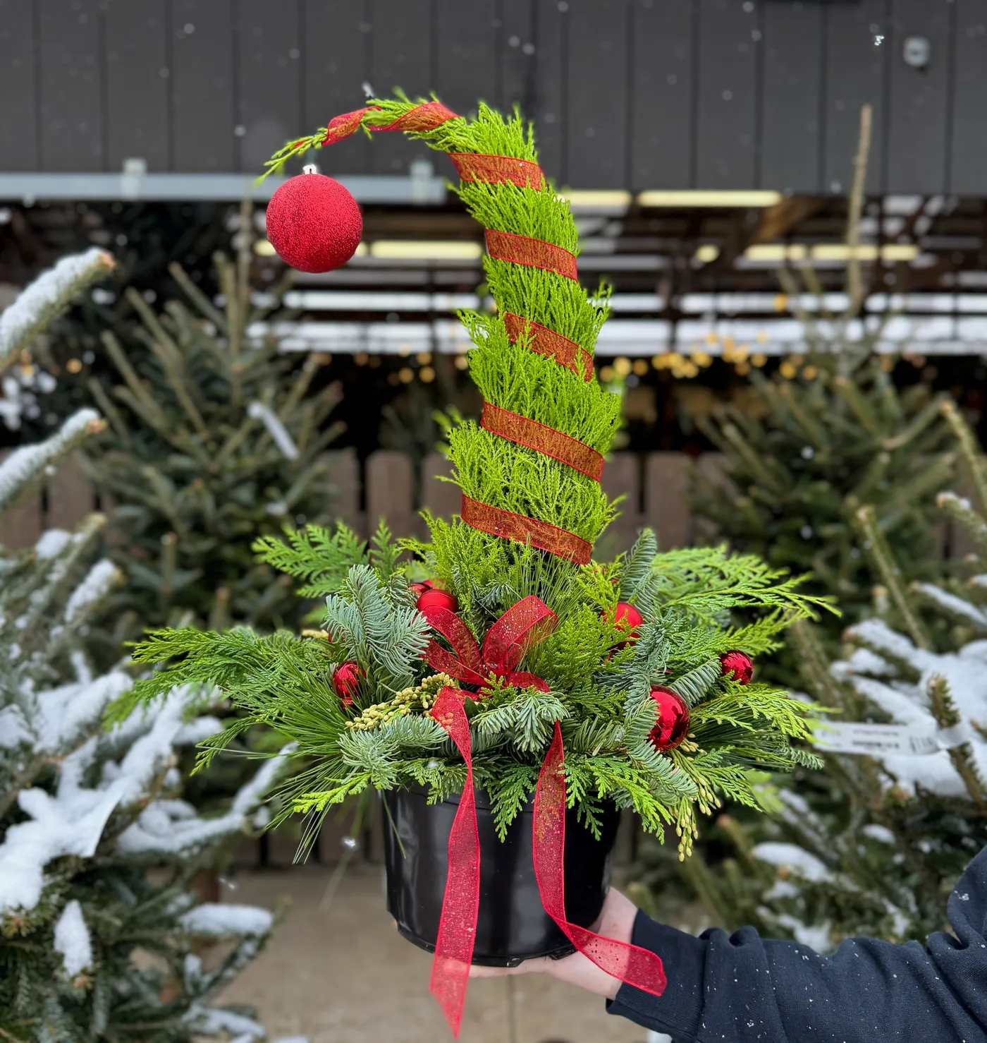 Grinch Tree Centerpiece Workshop - Graf Growers