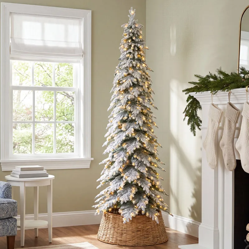 Hersi Frosted 11' Pre-Lit Spruce Christmas Tree
