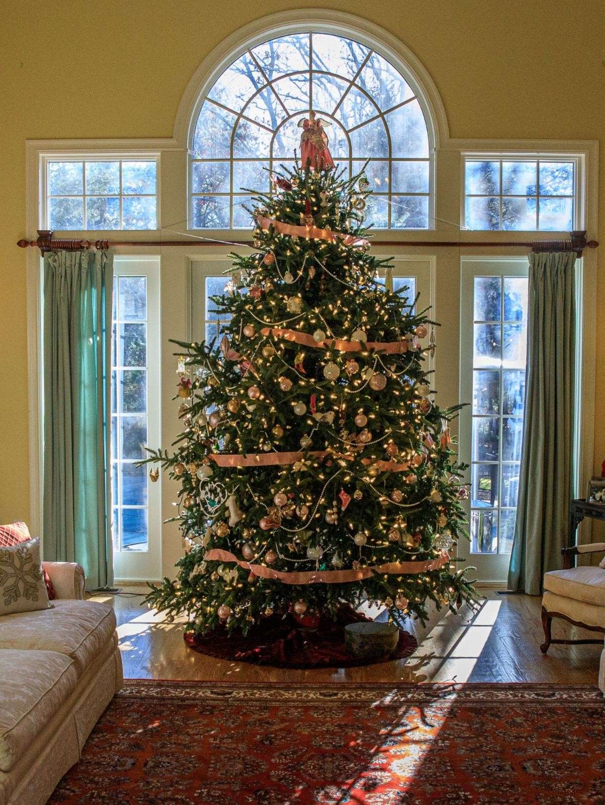 Holiday Celebrations & Events in Plymouth - See Plymouth