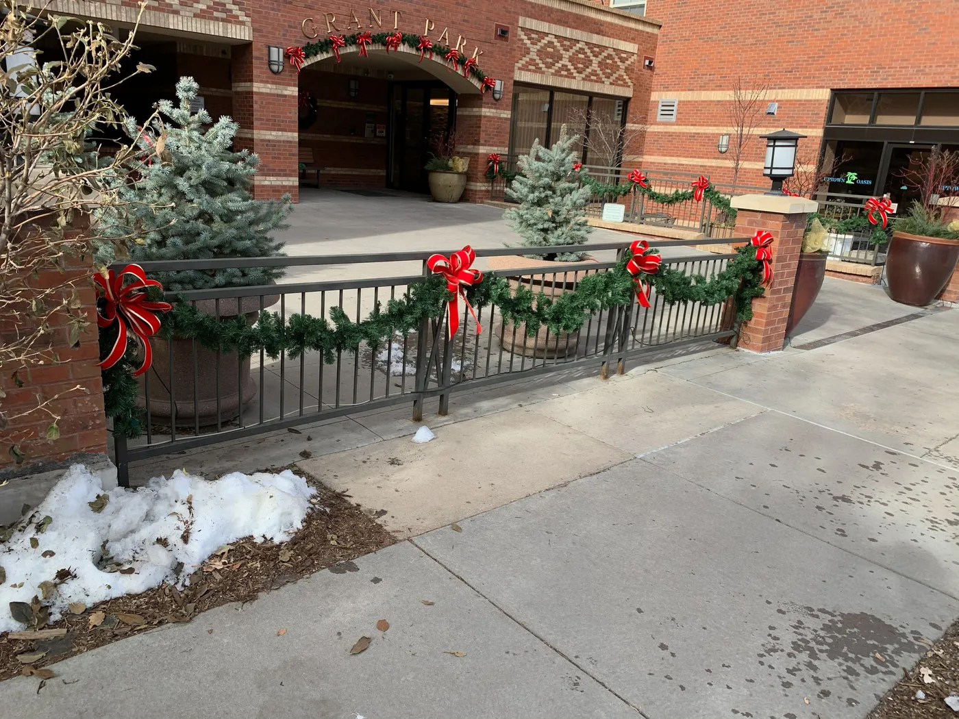 Holiday Designs — Interior & Exterior Plant Services | Bristol Botanics |  Denver, CO