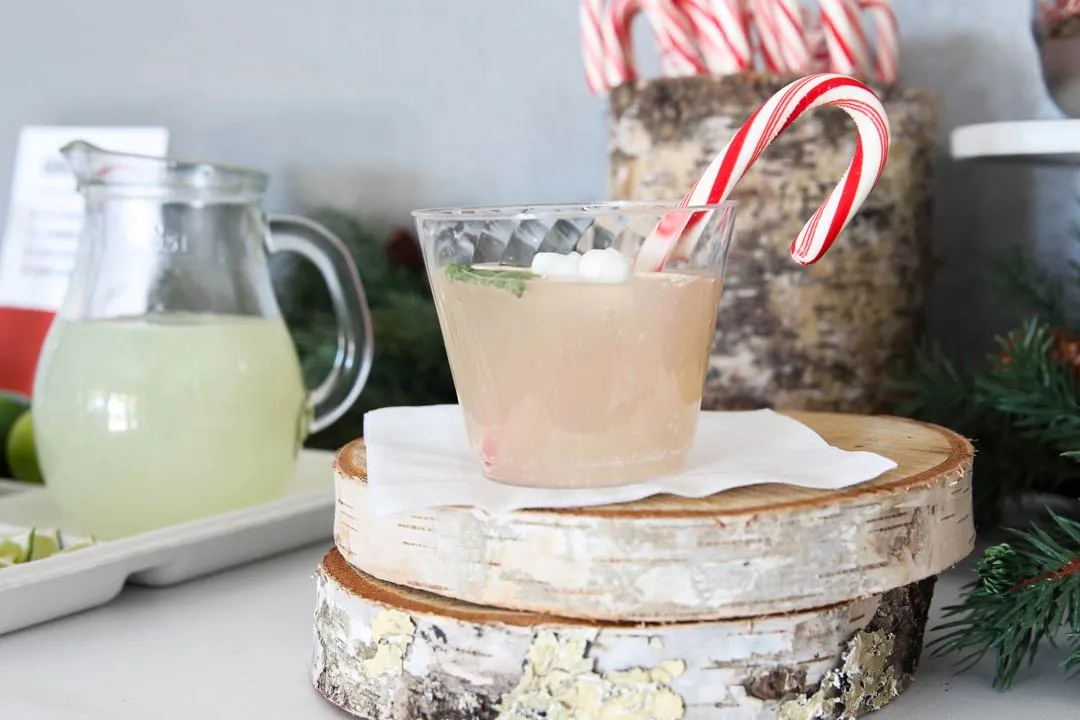 Holiday Drink Station Ideas - Chinet®