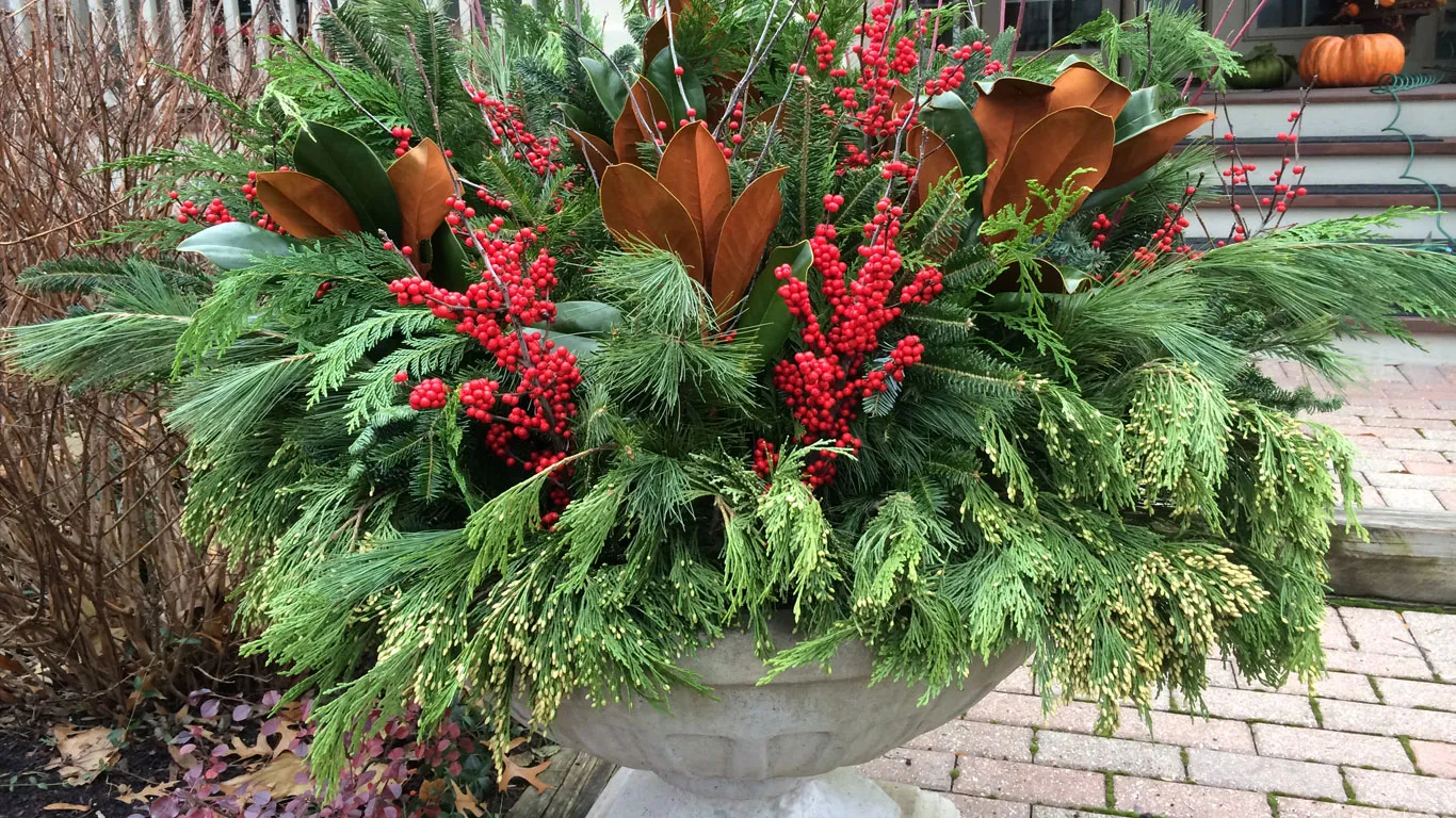 Holiday Light Installation and Winter Floral Containers at Laslo