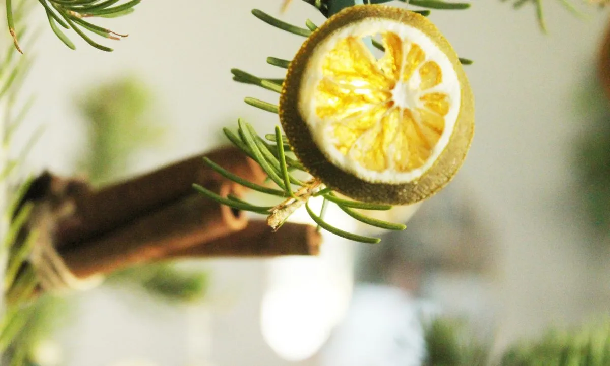 Homemade Christmas Ornaments: A Natural Way To Decorate Tree