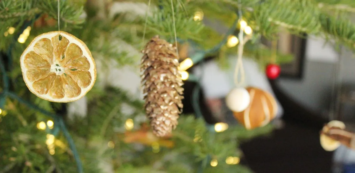 Homemade Christmas Ornaments: A Natural Way To Decorate Tree