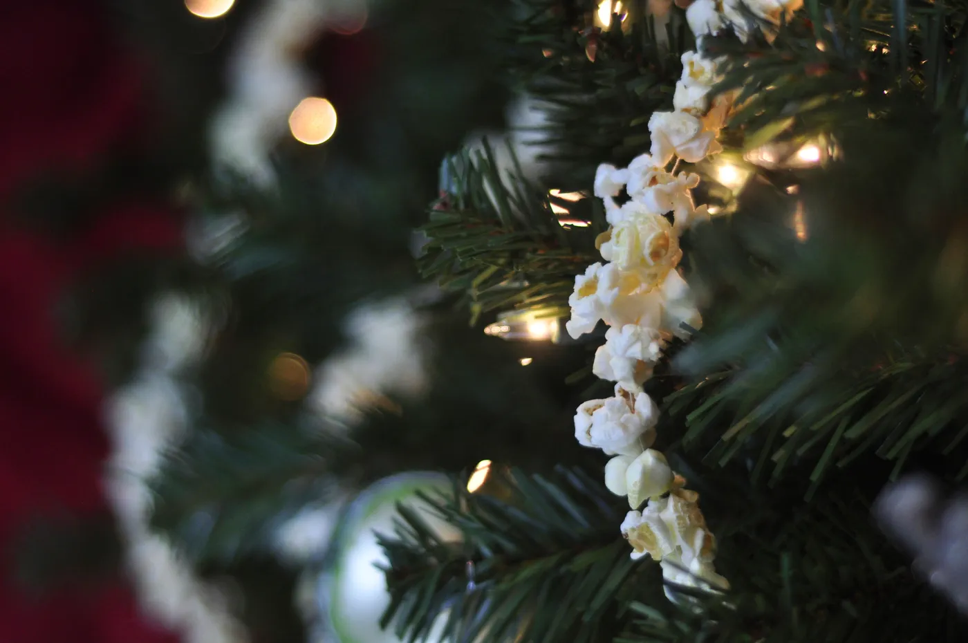 How to Keep a Cranberry and Popcorn Garland Fresh | ehow