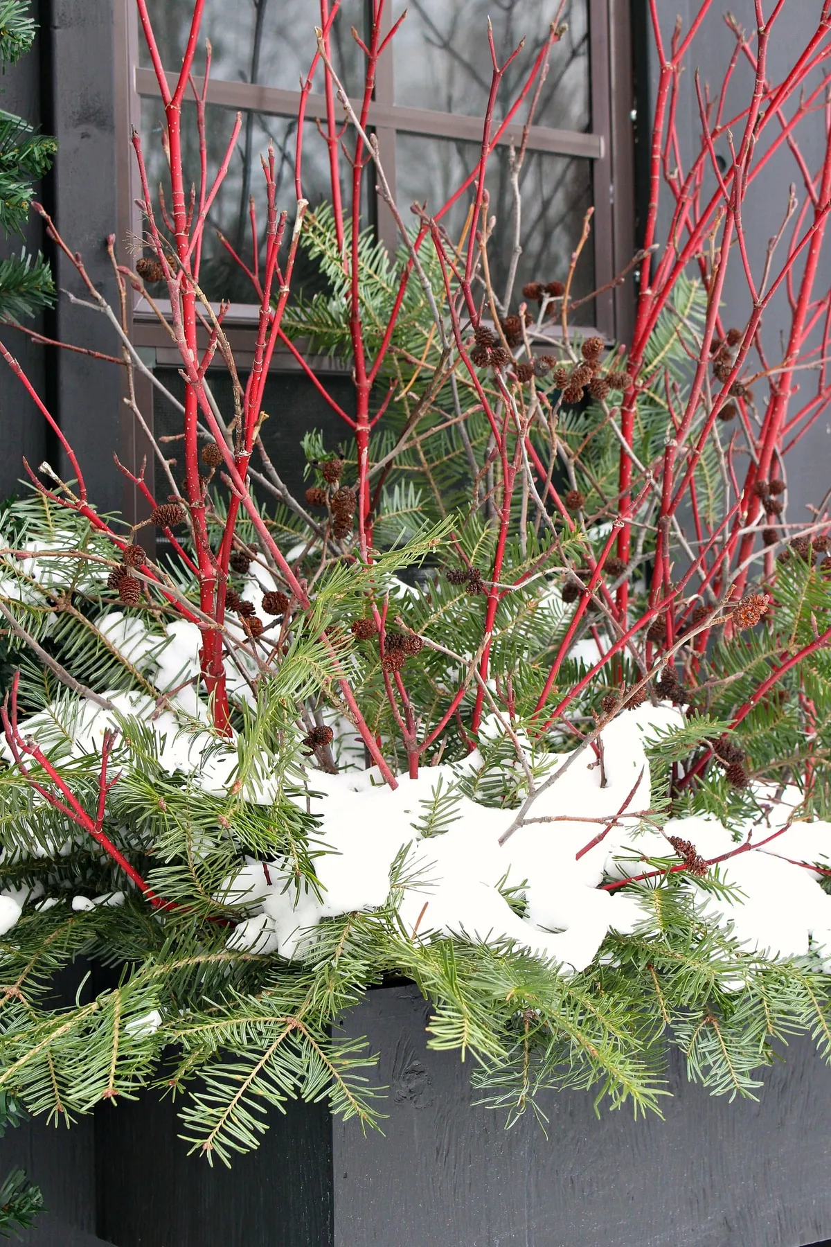 How to Make a Winter Window Box | Easy DIY Winter Window Box Outdoors | Dans le Lakehouse