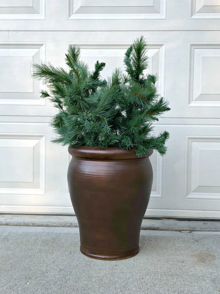 How to Make Completely FREE Christmas Planters for Your Porch - Southern State of Mind Blog by Heather