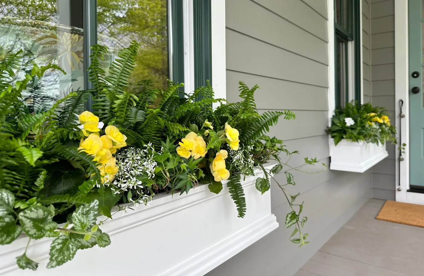 How to Plant Window Boxes Like a Pro — Contained Creations