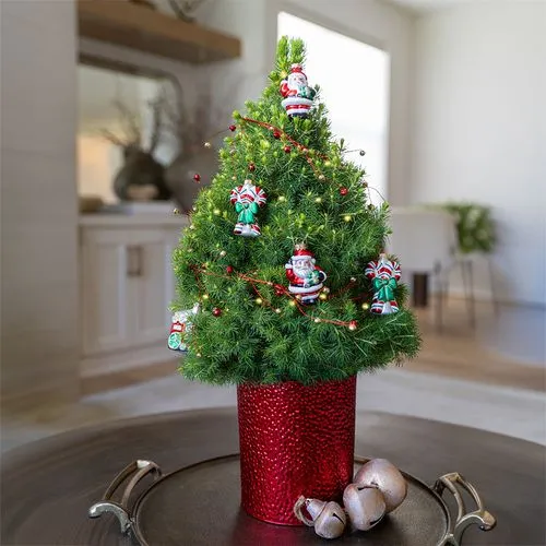 Indoor Christmas Tree Pot Feltree Mini Christmas Tree Potted Artificial For  Desktop Tabletop Decor, 20/30/